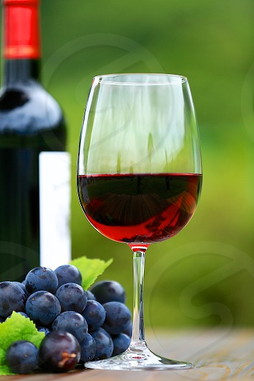 Prova de Vinhos em Adega